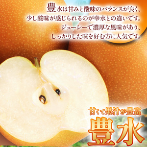 【2026年先行予約】豊水 梨 5kg【栃木県共通返礼品】P0 栃木県 下野市