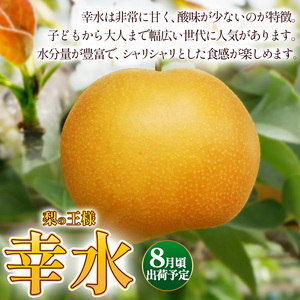 【2026年先行予約】 梨 食べ比べ 定期便 幸水 豊水 にっこり 各5kg【栃木県共通返礼品】P0 栃木県 下野市