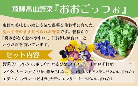 飛騨高山野菜『おおごっつぉ』詰合せ 葉物野菜 葉物 ミックスリーフ わさびな フラワーサラダ 無農薬野菜 無農薬 HS001VC13