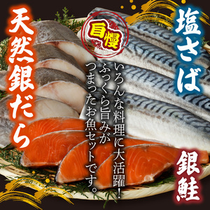 G7338_銀だら 銀鮭 切身 各 4切 塩さば フィレ 4枚 真空パック 小分け 良質な脂 ふっくら 柔らかい 梅酒 北海道南産 真こんぶ だし漬け お弁当 おかず お茶漬け ムニエル フライ 焼き物 煮魚 冷凍 お取り寄せ 和歌山県 湯浅町 送料無料