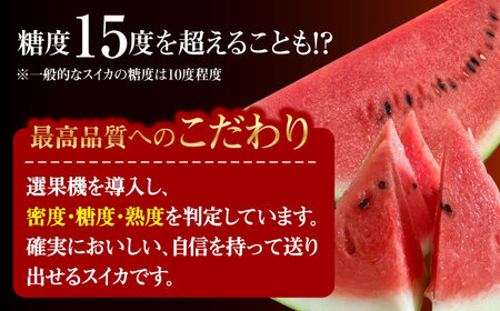 【先行予約】日田天領西瓜 1玉 約7kg～10kg スイカ[ARBD001]