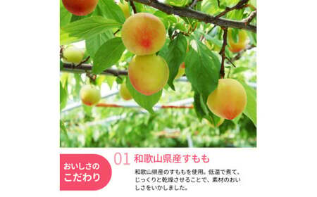 和歌山県産 ドライフルーツ  すもも  20g×5袋 /すもも おやつ 小腹 お菓子 健康【kng024-1】