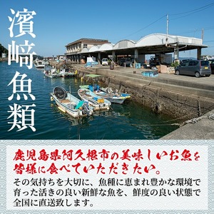 ＜冷凍＞鹿児島県阿久根産 天然きびなごのお刺身(計160尾・20尾×8パック) 国産 魚介 魚貝 海産物 鮮魚 刺身 天ぷら 冷凍配送 キビナゴ 海鮮丼 食品 セット 詰め合わせ 水産加工品【濱崎魚類】akn023-04