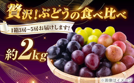 ＜赤秀＞ 種無しぶどう セット 3-5房 2kg BKCI001