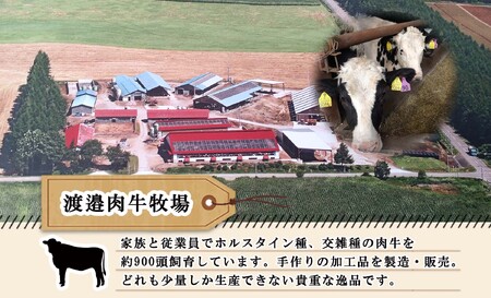 北海道 ビーフ ジャーキー 20g 牛肉 牛 beef 赤身肉 国産牛 肉 加工品 おやつ お菓子 おつまみ 国産 冷凍 詰合せ お取り寄せ 送料無料 十勝 士幌町【W10-1】