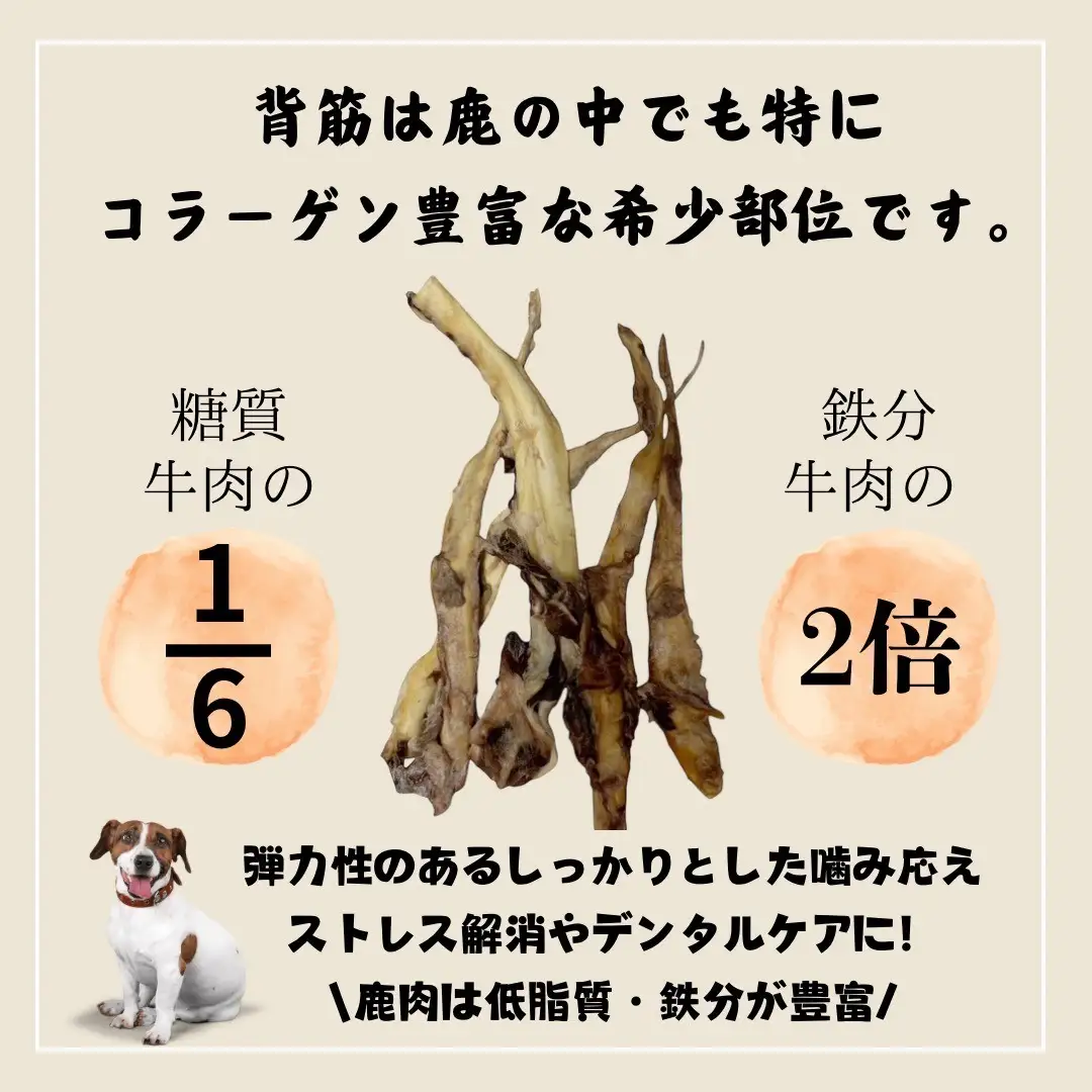 ペットフード研究所 国産無添加 鹿スジジャーキー500g【087C-036】
