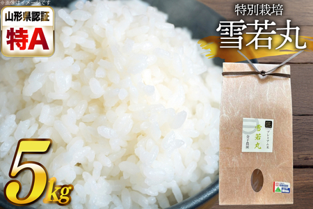 令和7年産 厳選米 匠 特別栽培米 雪若丸 5kg [金子農園 山形県 高畠町 tk06ays950028]