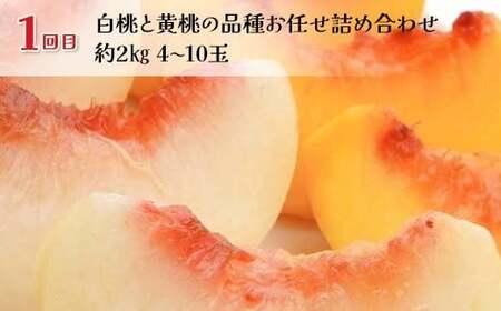 【2026年先行予約】秋冬のご褒美6種便（3回定期便） 桃 もも シャインマスカット ぶどう りんご ラ・フランス 梨 果物 フルーツ 山形県 FSY-2636