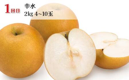 【2026年先行予約】和梨満喫便（全3回） FSY-2543