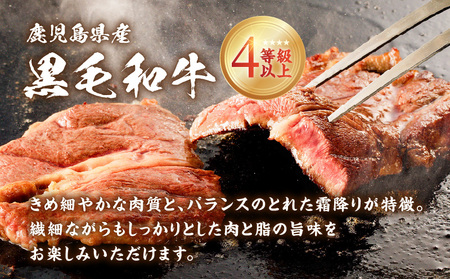 鹿児島県産 黒毛和牛ステーキ 600g K151-010_01 肉 牛肉 冷凍