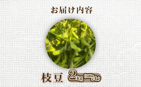 576【先行予約】枝豆 2kg 500g × 4袋 ファームランドさいとう（7月下旬頃より順次発送）