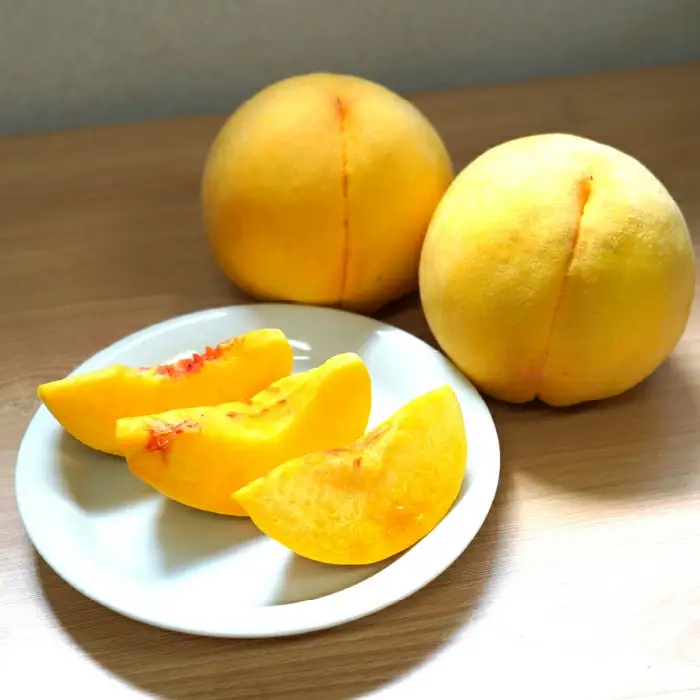 【2026年発送★先行予約】笛吹市産　黄金桃　2.0kg(5～7玉) 227-011-26y