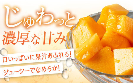 【8月中旬以降順次発送】赤肉メロン2玉 (約2kg/玉)  メロン [AJAK024]