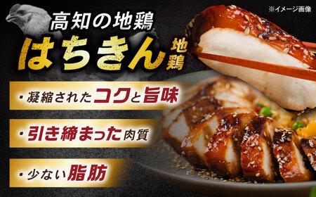 土佐はちきん地鶏ムネ肉 約1kg 【合同会社土佐あぐりーど】[ATBO028]