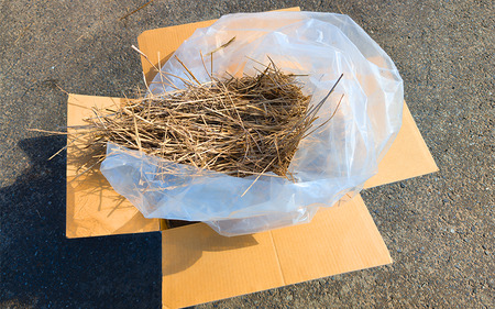 岩美町産コシヒカリの稲わら （粉砕タイプ）２kg｜鳥取 岩美 稲わら わら 藁 家庭菜園 先行予約 お届けは2026年10月～【34006】
