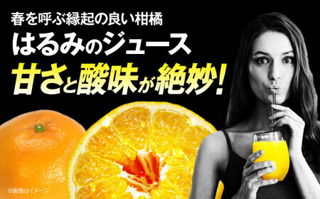 みかんジュース はるみジュース 2本  みかんジュース[AGCT001]