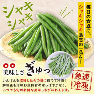 北海道十勝芽室町 十勝めむろ 冷凍野菜 いんげん 300g×3袋 me003-120c 野菜 いんげん インゲン 国産 北海道 芽室町