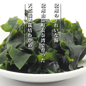 BB6228_紀州衣奈産 乾燥 わかめ 150g × 4 パック （2026年産）