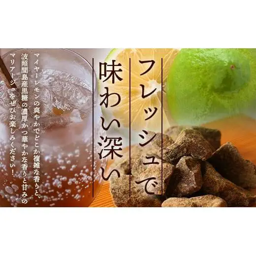 【先行受付】黒糖レモン生シロップのみと果肉入りの200ml各1本の2本セット　TF-52
