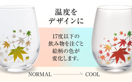 温度で変化する器 フリーグラス 『冷感紅葉』　 多治見市 / 丸モ高木陶器[TBA247]