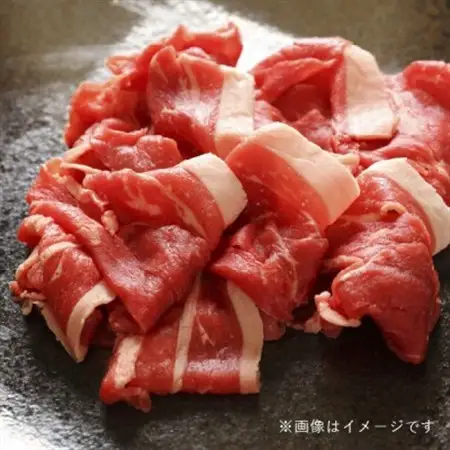 飛騨牛5等級 切り落とし500g　FTA195_肉 飛騨牛 牛肉 うし ビーフ_【配送不可地域：離島】【1578212】