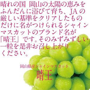 [HS]9月・10月発送 シャインマスカット 晴王 1房 約700g ｜  シャインマスカット