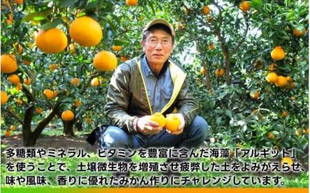タカじいの 不知火 ( しらぬい ） 5kg / デコポン 甘い 和歌山 有田 柑橘 ※2027年3月上旬～3月下旬に順次発送 【krs010-r-5A】