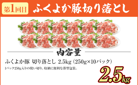 【頒布会】 豚肉 万能セット ふくよか豚肉