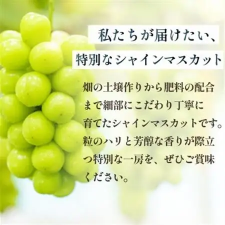 【2026年発送】数量限定 特選 プレミアムシャインマスカット 大房2房 山梨から産地直送【配送不可地域：離島】【1591108】