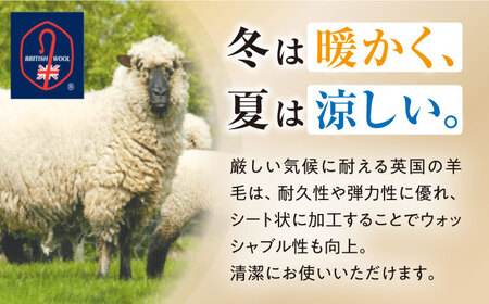 フェルケット （ダブル）[AQBC011] 敷きパッド