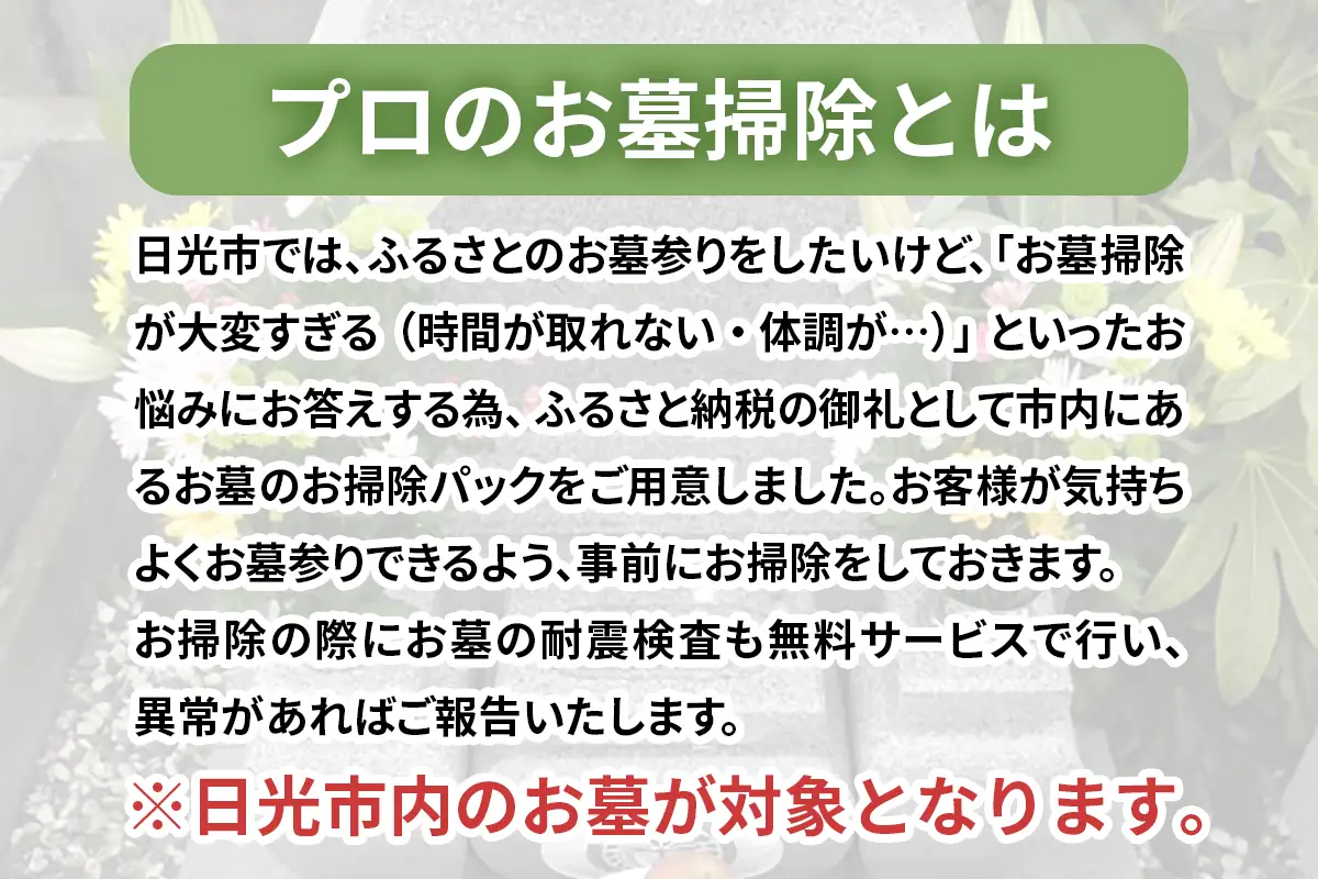 ふるさと日光安心サポート プロのお墓掃除(手作業)【お墓参りの前に】耐震検査サービス付き [0524]