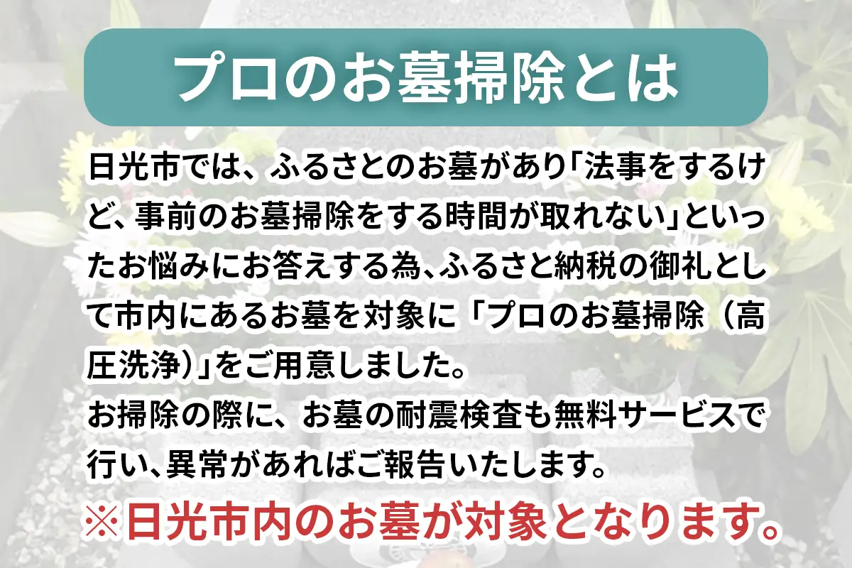 ふるさと日光安心サポート プロのお墓クリーニング(高圧洗浄)【法事前などの前に】耐震検査サービス付き [0525]