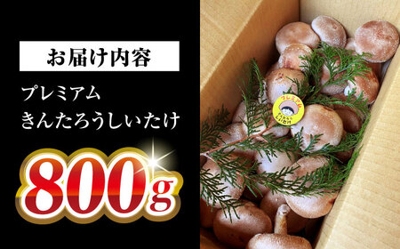 プレミアムきんたろうしいたけ[AQBD001] しいたけ