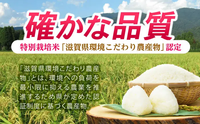 低農薬栽培 ミルキークイーン 白米5kg[AQBL023] 白米