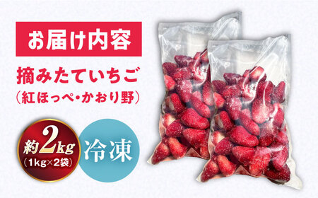 冷凍いちご 2kg[AQBT003] 冷凍イチゴ