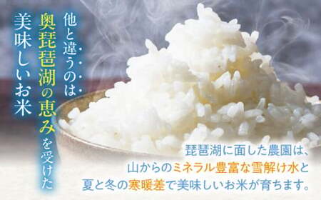 【スピード発送】米 近江米 コシヒカリ 5kg [AQAW003] コシヒカリ 白米