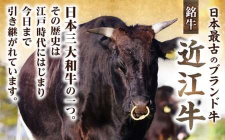 近江牛ウデスライス500g[AQCS003] 近江牛 牛肉