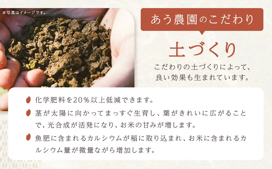 【令和7年産】ひめの凜プレミアム 5kg 米 お米 白米 ご飯 ごはん 飯 愛媛県 【えひめの町（超）推し！（鬼北町）】（389-2）