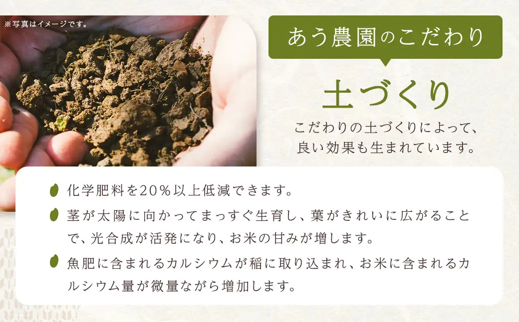 【令和7年産】 ひめの凜プレミアム＆自然環境米 鬼北のせせらぎ（コシヒカリ） 各5kg 計10kg コシヒカリ ひめの凜プレミアム 鬼北のせせらぎ 米 お米 ご飯 飯 愛媛県【えひめの町（超）推し！（鬼北町）】（392-2）