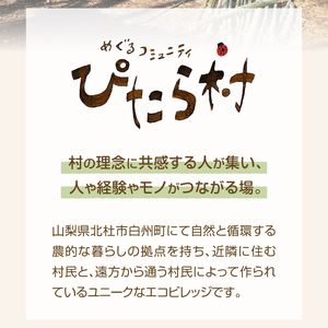 エコビレッジ ぴたら村 宿泊体験 宿泊 体験 チケット 2名様分 1泊2日 朝夕2食付き エコビレッジ ぴたら村 古民家 村民 交流 イベント 自然 ペア 宿泊券 利用券 山梨県 北杜市 白州町 [h013]