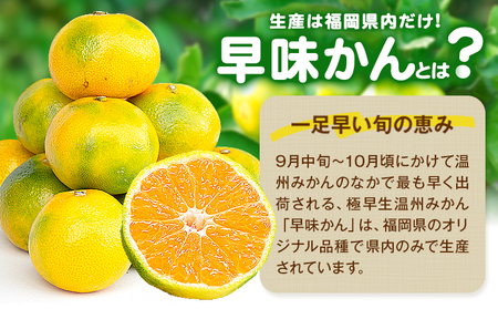 みかん 早味かん 約2kg  南国フルーツ株式会社【26年度出荷】《9月中旬-9月下旬頃出荷》福岡県 鞍手町 福岡県産 みかん 早味かん フルーツ 果物 