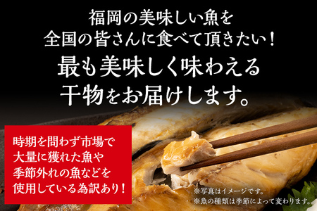 訳あり干物セット 訳あり 訳アリ 干物 魚 海鮮 カマス サバ 鯖 さば ひもの 冷凍 季節のおすすめ おかず 和食 玄界灘 福岡 グリル 約400g 2枚 開き お取り寄せ 食べ比べ おつまみ 肴 グルメ お取り寄せグルメ