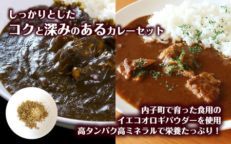 うちこおろぎスープカレー2個と定番コオロギ黒カレー2個セット BKBN003 カレー