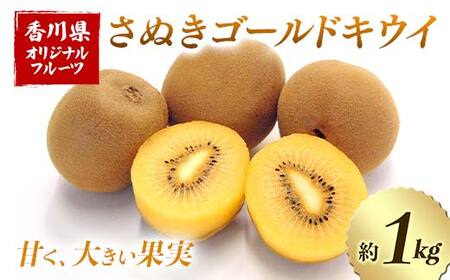 【人気フルーツ定期便D 3回】 《さぬきゴールドキウイからスタート》 さぬきゴールドキウイ 約1kg さぬきキウイっこ 約1kg さぬきエンジェルSキウイ 約1kg キウイ キウイフルーツ 旬 果物 国産 香川県 フルーツ定期便 F5J-885