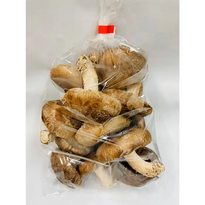 訳ありでも美味しい！自然の恵み生椎茸1.44kg No.468