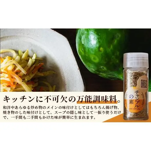 チャンプルの素　25g　瓶入×3本　PN-1