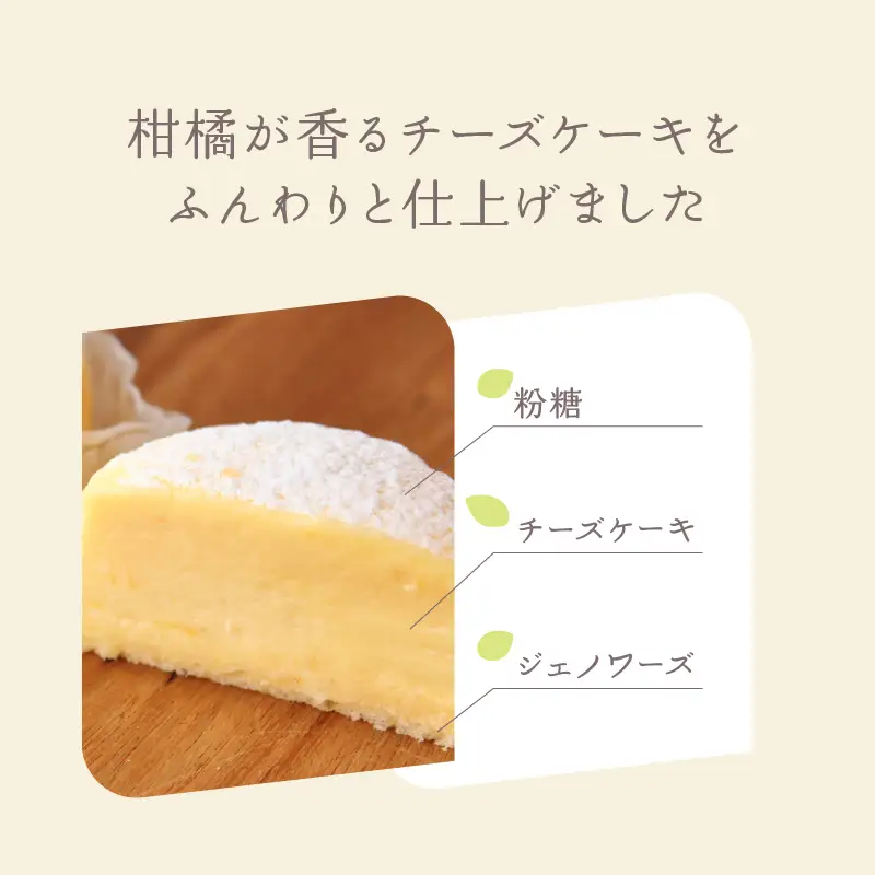 【INFINI】チーズケーキKANKAN【濃厚 チーズケーキ テリーヌ 柑橘 デザート 冷凍 スイーツ ギフト 贈り物 プレゼント 人気 おやつ ご褒美 絶品 】_0004-002-se4