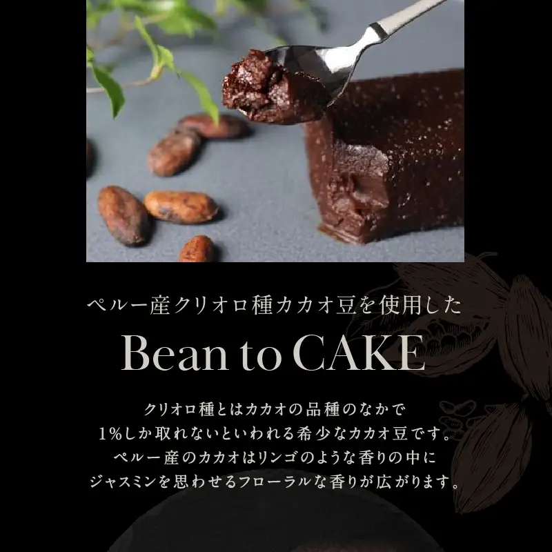 チョコレート専門店「MAGIE DU CHOCOLAT」至極の生ガトーショコラ【スイーツ チョコレート チョコレート菓子 焼き菓子 ガトーショコラ 生ガトーショコラ 濃厚 とろける 人気 おすすめ ギフト プレゼント 贈り物 ご褒美 贅沢】_0010-003-se4