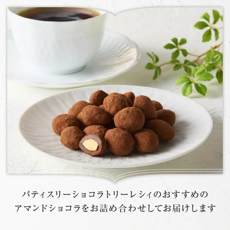 【パティスリーショコラトリーレシィ】アマンドショコラ / チョコレート スイーツ 洋菓子 焼き菓子 詰め合わせ クッキー ギフト プレゼント 贈り物 _0021-003-se5