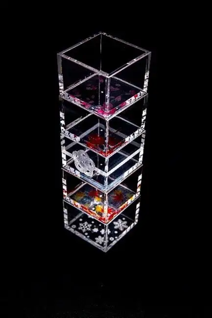 【TOMONARI】アクリル升 mas/mas（マスマス）0.3合枡　5個セット　四季柄【世田谷みやげ】升 食器 酒器 コップ セット 日用品 工芸品 インテリア アクリル お土産 小物入れ 小物 ギフト プレゼント 贈り物_0049-005-se5
